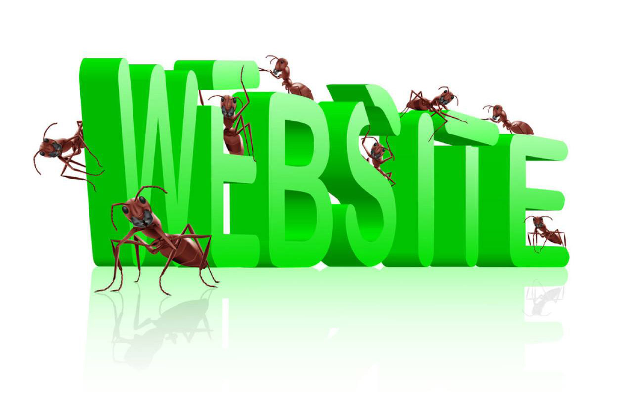 網站建設,網站建設方案