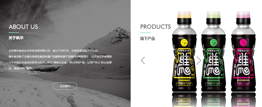 網站設計,網站設計公司